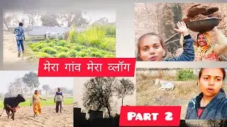 Chand Ka Dil Toot Gaya 😢 | Kutti Kati Wala Desi Vlog...