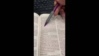 Love Your Enemy | Exodus 23: 4-5