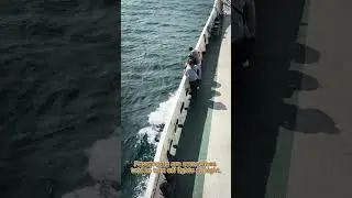 Cruise Ships Still Pass Pirate Zones