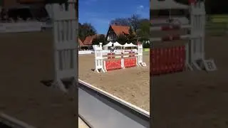 Chamyuva Westercelle 2017 Eggersmann Junior Cup Stil M