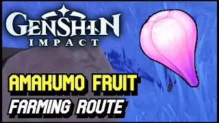 Genshin Impact - Amakumo Fruit Farming Route (All Spots)