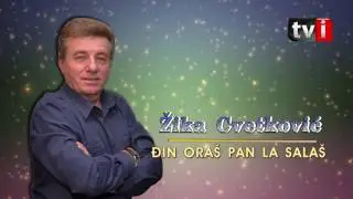 Žika Cvetković  - Djin oraš pan la salaš 2017