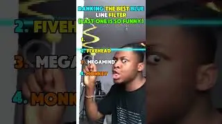 RANKING THE BEST FUNNY BLUE LINE FILTER