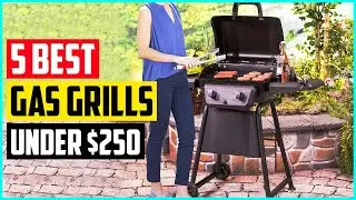 The 5 Best Gas Grills Under $250 in 2021