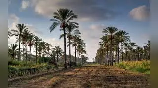 Damietta part 1