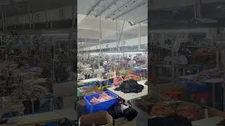 Los mejores pantalones cortos para correr del fabricante OEM China Ruxi spd142