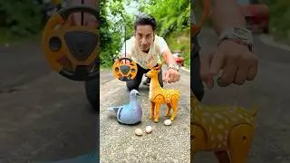 Amr Rc Birds And Rc Deer Ki  Unboxing💥