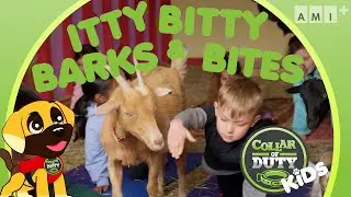 Kid-Yoga - that&rsquo;s the GOAT! | Itty Bitty Barks & Bites | Collar of Duty: Kids