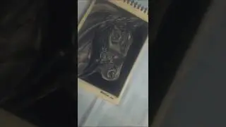 FIRST Time Drawing ANIMALS from Sketch