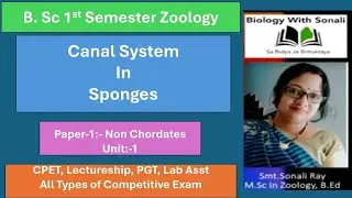 Canal system in Sponges || B.Sc 1st Semester #biologywithsonali #zoology #canalsystem #cpet #ssb