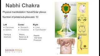 Sahajayoga - Learn Chakra cleansing for Family, Job, and Financial Problems