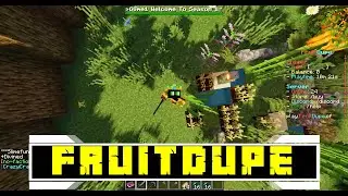 FruitDupe - Minehut Server Review
