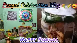 Happy Pongal families, Pongal Celebration Vlog 🥰#trending #Subscribe 