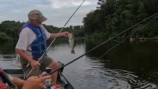 Duck River choppo fluke worm the fish bit good