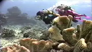 Marlin Bay Resort, Beqa Lagoon , Fiji