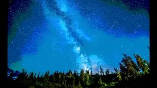 Sensifeel - The World Is Magic