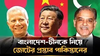 সার্কের বিকল্প জোট ভাবনায় পাকিস্তান  | SAARC | Pakistan | India | China