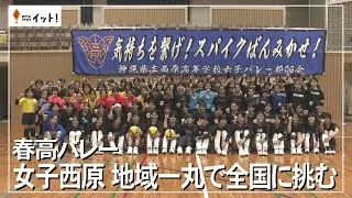 【春高バレー】西原高校・女子　地域一丸で全国に挑む（沖縄テレビ）2025/12/25