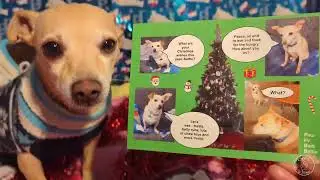 You've Got Mail! Pt. 2 | Ep 190 | Chewby & Snow White 😎🥰😁😆#christmascard #doglife #dogs