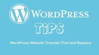 WordPress Website Transfer Find and Replace