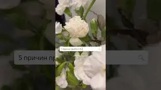 5 причин посетить Naked Gallery в Ярославле