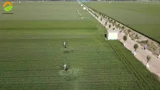 #Chufangagri electric drones and fuel drones spray wheat