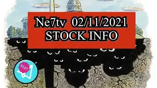 NE7tv 02/-11/2021 STOCK INFO