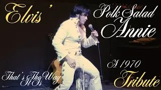 That’s The Way It Is Recreation: Elvis’ “Polk Salad Annie”