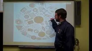 Oceanography flipclass for 10-7-13 Marine Sediments - Introduction #oceHWHL