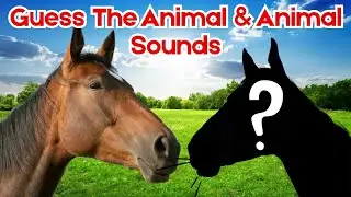 Animal Sound Guessing Game 🎧 | Farm Animals Sounds & Names for Kids