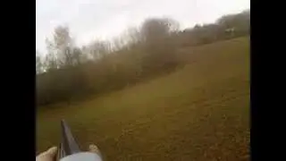 Gros solitaire rat&eacute;