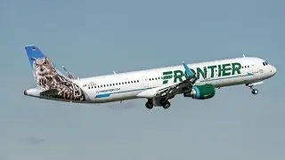 PILOT - AIRPORT Wildlife Bird Strike Mitigation TIPS (NO KILL METHODS Co-exist Airplane Parrot 911