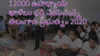 12000 Govt Teacher Post Recruitment 2020 |  New Teacher Job recruitment Latest Telangana jobs 2020