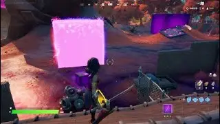 All 6 baby cubes spawning at Weeping Woods Fortnite