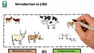 An introduction to LSU