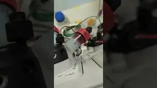 Protein elution from His-Trap column!