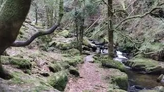 Torc waterfall Ireland, Killarney National Park.
