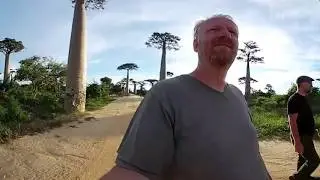 360 View of Baobab Alley of Madagascar