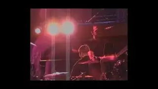 The Messenger Birds - What You Want to Hear (Official Video)