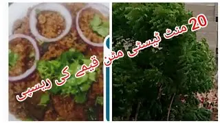 20 minute Testy  Mutton  | Keema Recipe |  | Zaika food street and vlog