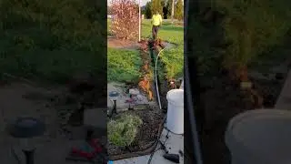 low voltage lighting running a trench for the wire both sides of the yard...