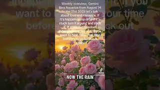 Weekly overview Gemini Libra Aquarius from August 14 to the 21st 2025.