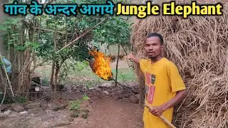 गांव के अन्दर आगये Jungle Elephant | एक आदमी मरते मरते बचगया | Pure Jungle Lifestyle #vlog