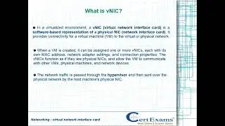 What is a vNIC?
