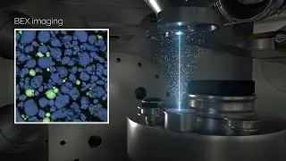 Introduction to Unity BEX imaging detector