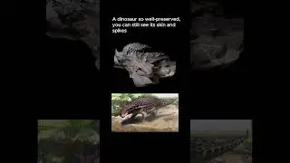 Borealopelta: The Dinosaur Frozen in Time for 110 Million Years #prehistoric #dinosaur  #fossils