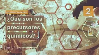 &iquest;Qu&eacute; son los precursores qu&iacute;micos?