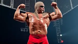 Scott Steiner Math