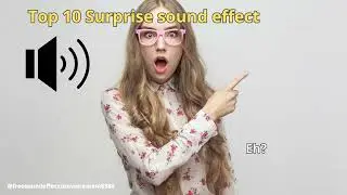 TOP 10 SURPRISE SOUND EFFECT