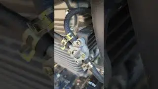 Xpro Templar M 250  zumaav 250 fuse type and relay issues